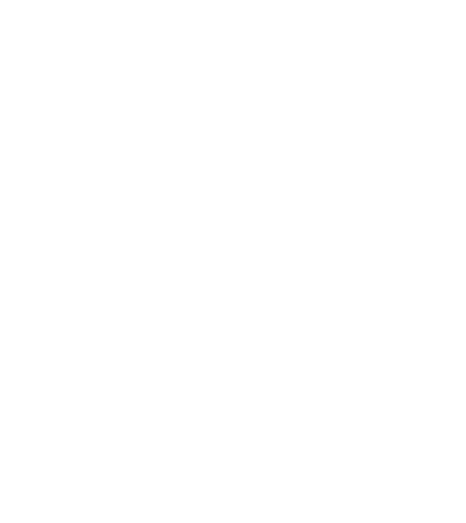 Dynamics International
